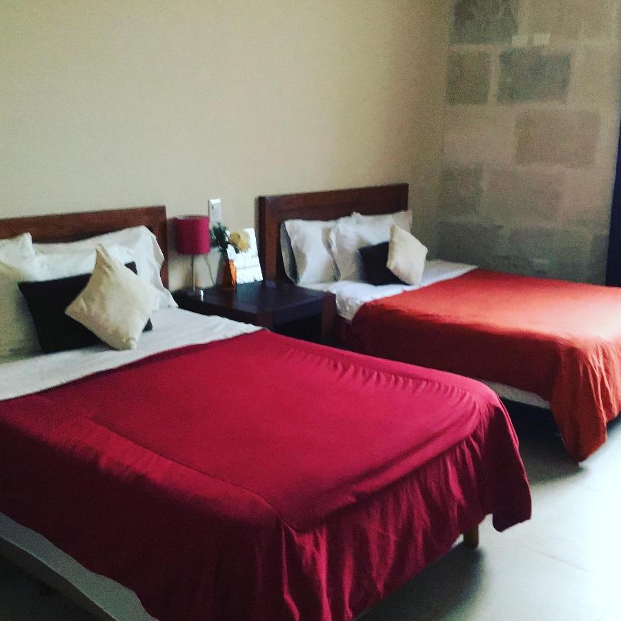 Pecari Cancún